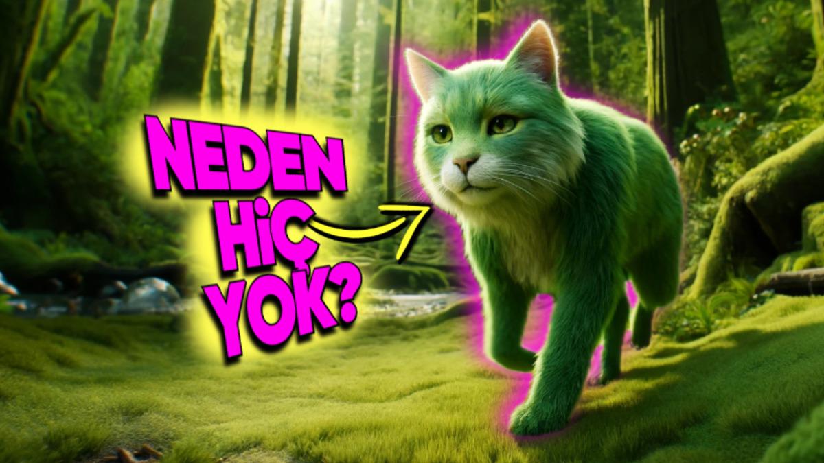 Neden Hiç Yeşil Tüylü Memeli Yok? Doğada Daha İyi Kamuflaj Sağlamaz Mıydı?