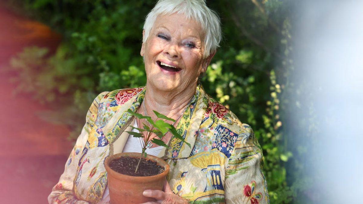 Meta, Yapay Zekâyı Seslendirmesi İçin Ünlü İsimlerle Anlaştı! Kristen Bell, Judi Dench ve Daha Fazlası ile İş Birliğinde!