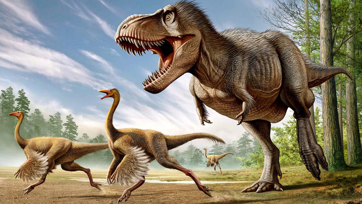 Kuşların Diş Yerine Gagalarının Olmasının İlginç Sebebi Sizi Biraz Şaşırtacak!