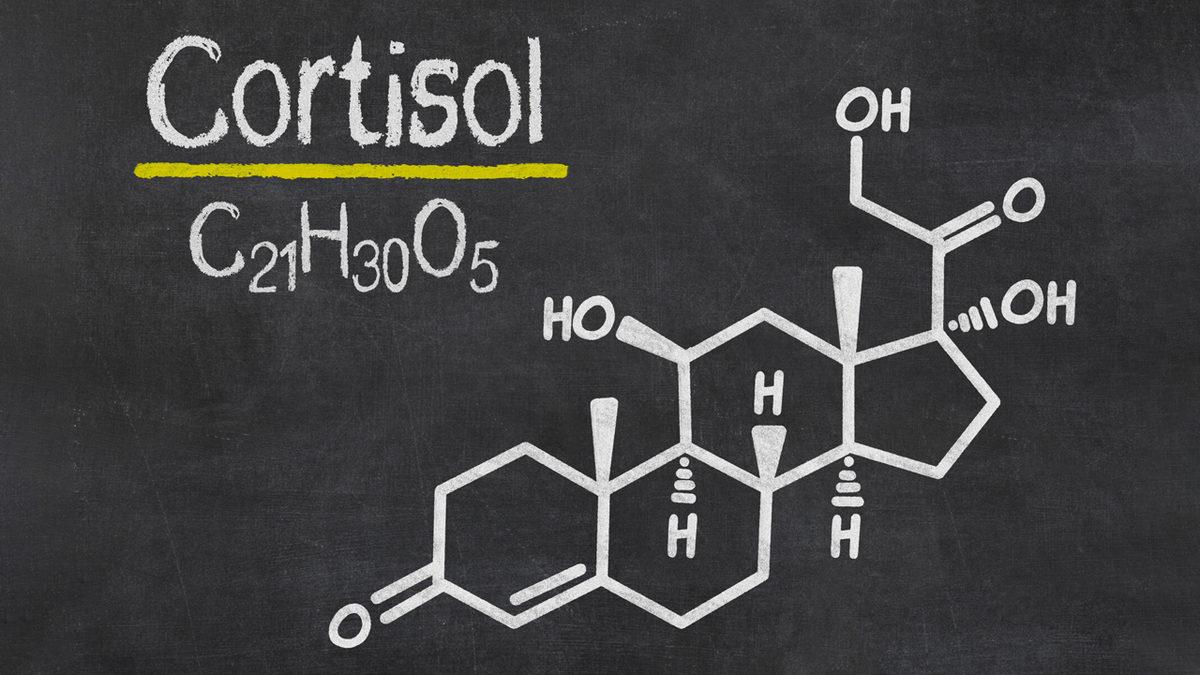 Daha Verimli Bir Gün İçin Kahveyi Ne Zaman İçmelisiniz? Ritüellerinizi Biraz Değiştireceğiz!