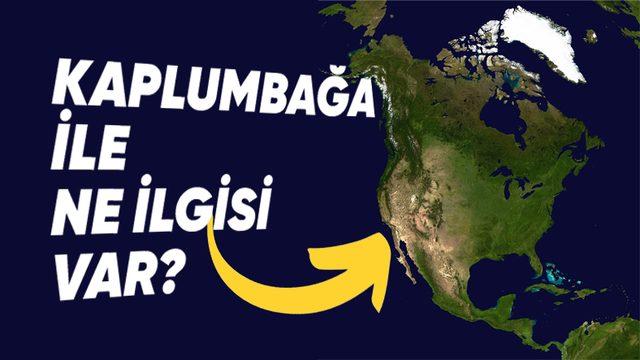Kuzey Amerika Neden "Kaplumbağa Adası" Olarak Anılır? (Hayır, Şekli Kaplumbağayı Anımsattığı İçin Değil!)