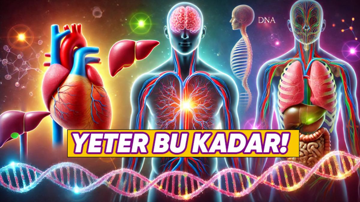 Organlarımız Ulaşması Gereken Boyutu Nasıl Biliyor ve Daha da Büyümüyor?
