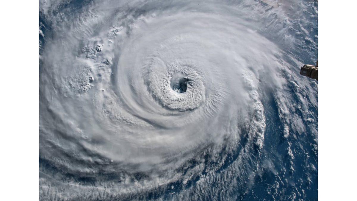 Buz Dağının Görünmeyen Kısmı: Kasırga Çıktığında Suda Yaşayan Canlılara Ne Oluyor?