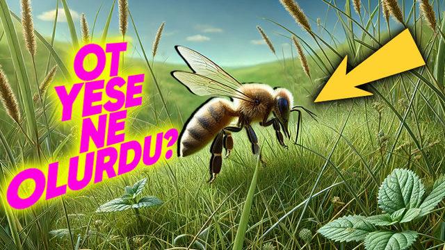 Bir Hayvanın Beslenme Düzenini Değiştirsek Ürettikleri Gıdaların Türü de Değişebilir mi?