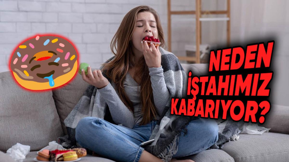 Yazın Diyet Yapanlar Seri Üzgün: Kışın Daha Fazla Yemek Yeme İsteğimizin Altındaki Sebepleri Açıklıyoruz
