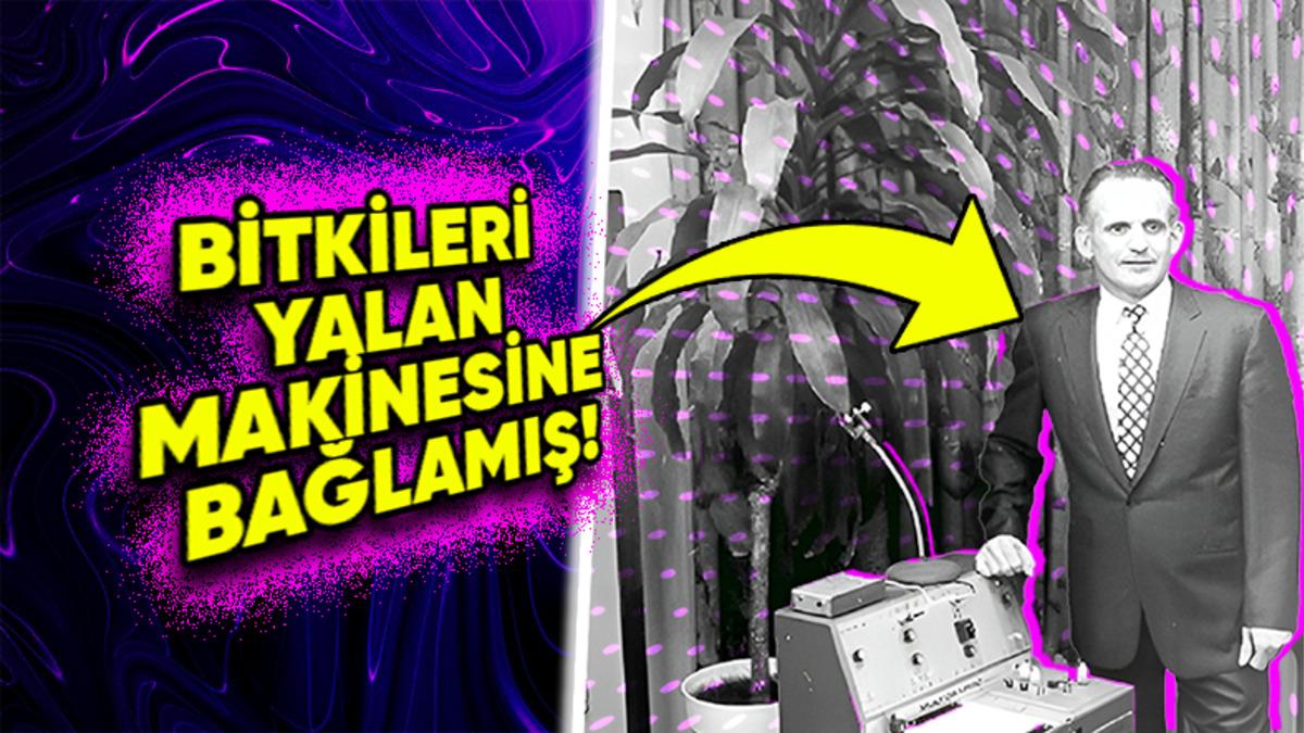 Bitkilerin de Tıpkı Bizler Gibi Acıyı Hissedebildiğini Savunan Backster Etkisi (Bilim Dünyasında Büyük Bir Anlaşmazlığa Yol Açmış!)