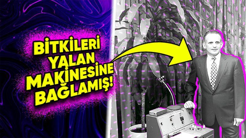 Bitkilerin de Tıpkı Bizler Gibi Acıyı Hissedebildiğini Savunan Backster Etkisi (Bilim Dünyasında Büyük Bir Anlaşmazlığa Yol Açmış!)