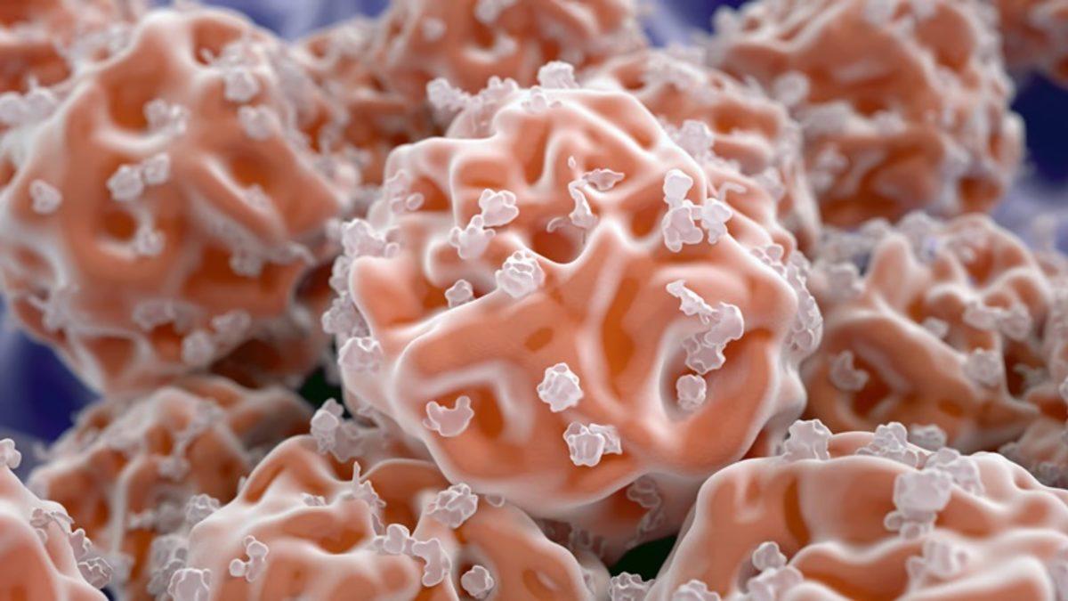 Yeni Bir Hücre Keşfedildi ( Varlığı 100 Yıldır Tahmin Ediliyormuş!)