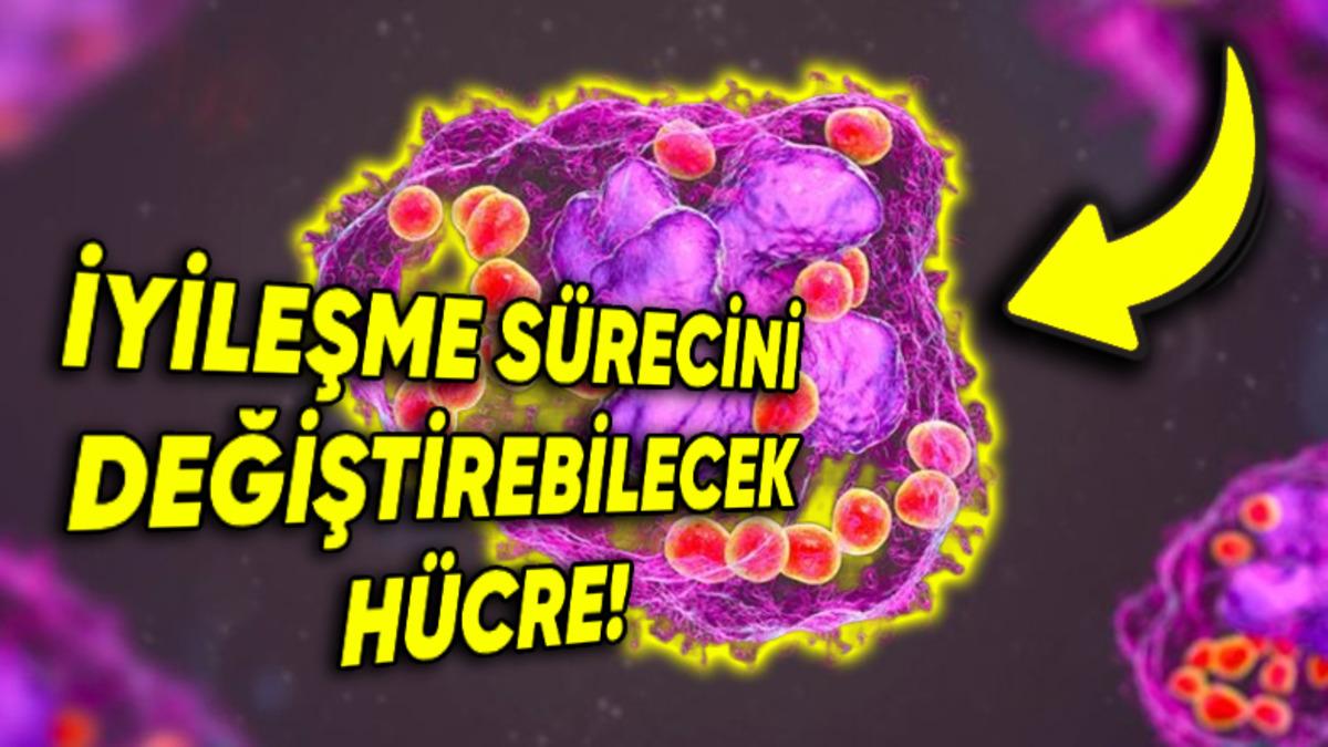 Yeni Bir Hücre Keşfedildi ( Varlığı 100 Yıldır Tahmin Ediliyormuş!)