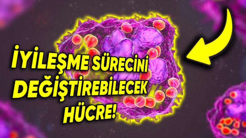 Yeni Bir Hücre Keşfedildi ( Varlığı 100 Yıldır Tahmin Ediliyormuş!)