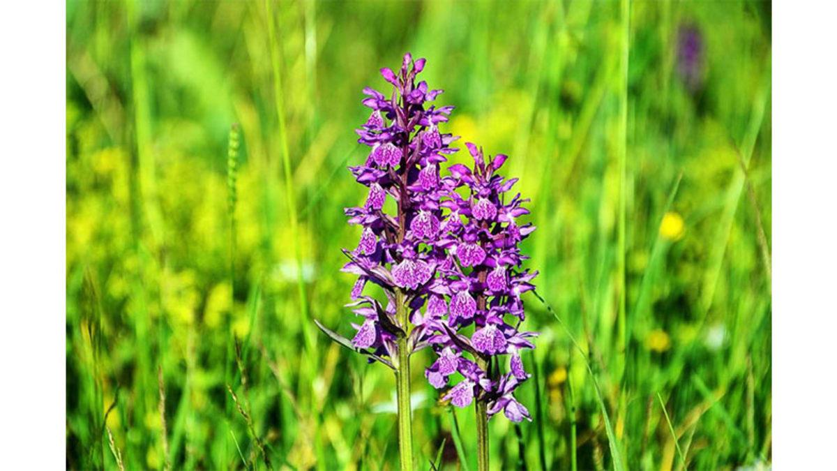 Kışın İçimizi Sıcacık Yapan, Severek Tükettiğimiz 