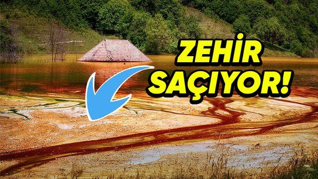 Korku Filminden Farksız: Yüzlerce Ailenin Yaşadığı Romanya’daki Geamana Köyü’nün Tüm Yaşamın Yok Olup Zehir Saçan Bir Göl Hâline Geldiği İlginç Hikâye
