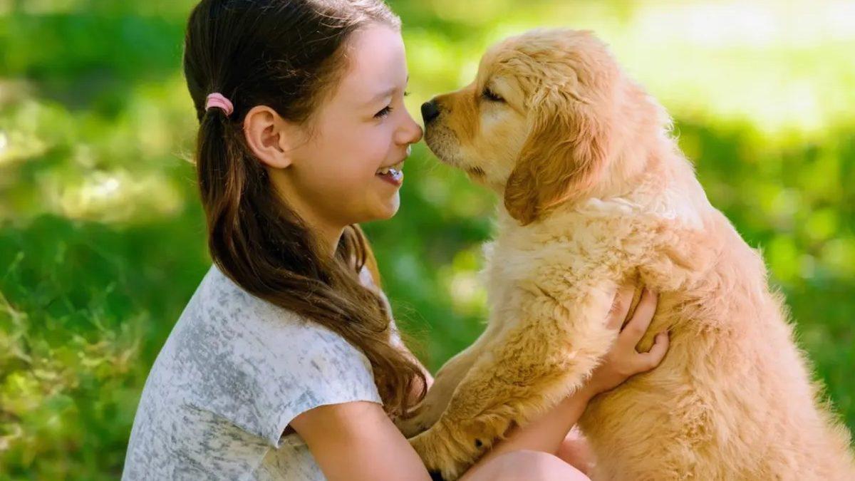 Köpeklerin Beyinleri Nasıl Oluyor da Onların Gözlerinin İçine Baktığımızda Bizimkilerle Senkronize Oluyor?