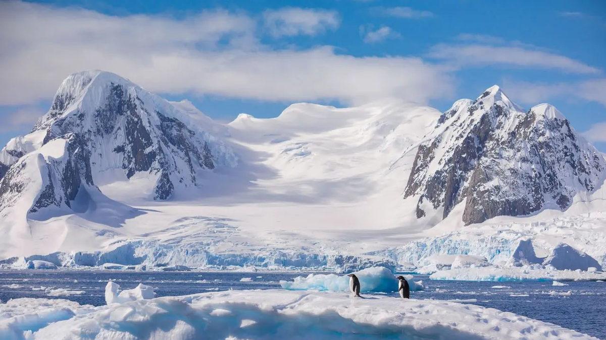 Sivri Sineklerden Nefret Edenler Yerleşebilir: Neden Dünyada Yalnızca Antarktika ve İzlanda’da Sivrisinek Yaşamıyor? (Sebep Sadece Soğuk Değil!)