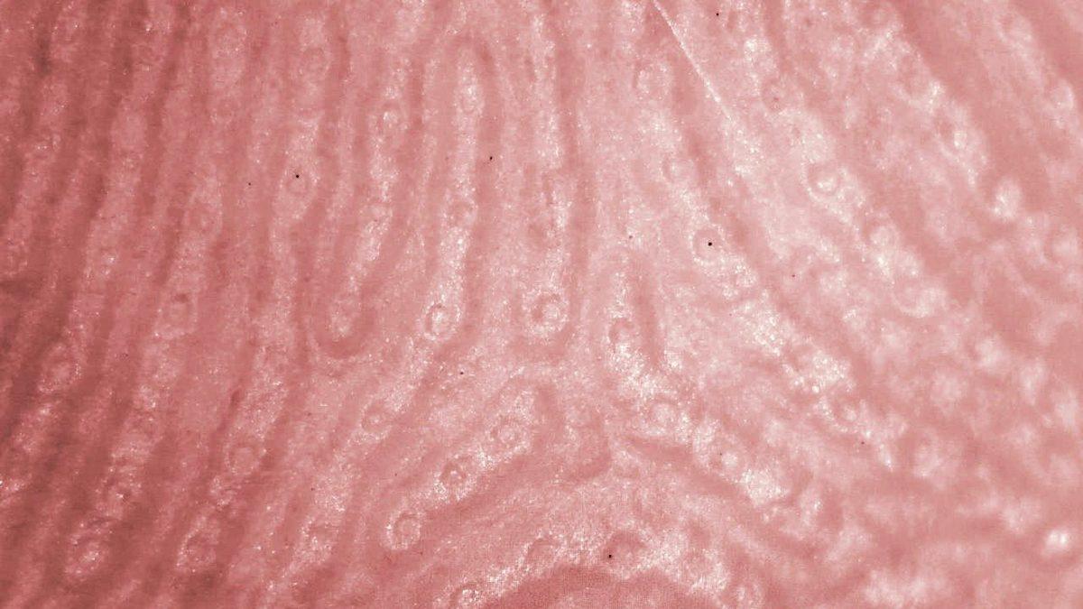 Tüm Ezberler Bozulacak: İnsan Vücuduna Dair Pek Duymadığınız 7 Bilgi