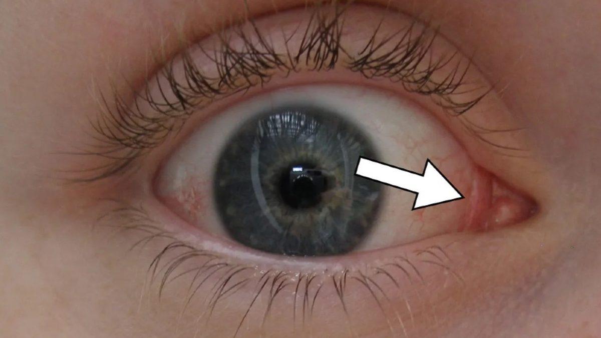 Tüm Ezberler Bozulacak: İnsan Vücuduna Dair Pek Duymadığınız 7 Bilgi