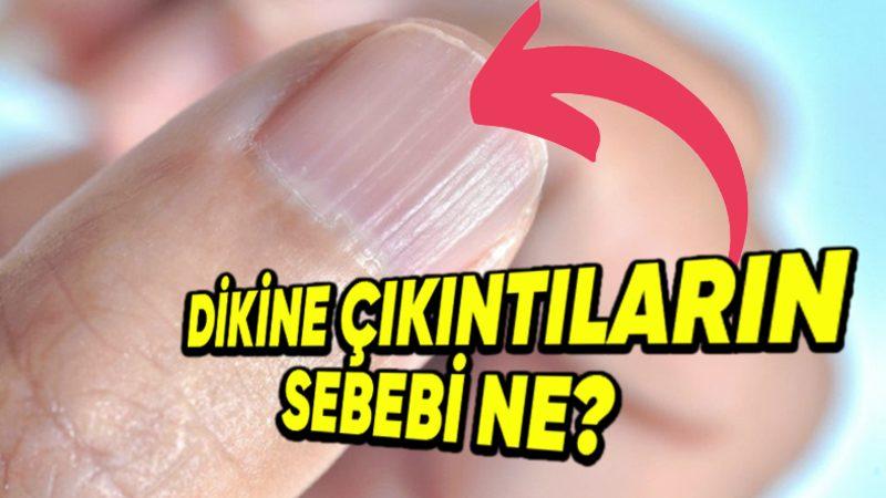 Tüm Ezberler Bozulacak: İnsan Vücuduna Dair Pek Duymadığınız 7 Bilgi