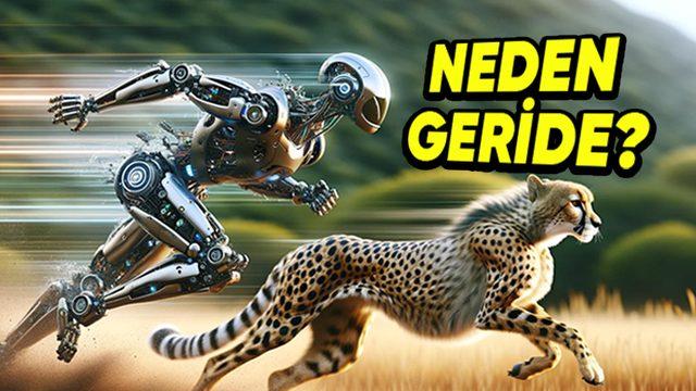 Ürettiğimiz Robotlar; Hız, Güç ve Alan Tespiti Noktalarında Neden Hayvanlara Fark Atmayı Bir Türlü Başaramıyor?
