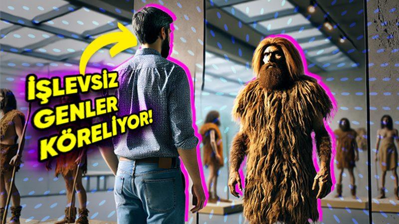 Sizce Eski İnsanlar mı, Yoksa Modern İnsanlar mı Etrafına Uyum Sağlamakta Daha Başarılı? İşte Yapılan Çarpıcı Araştırma ve Sonuçları