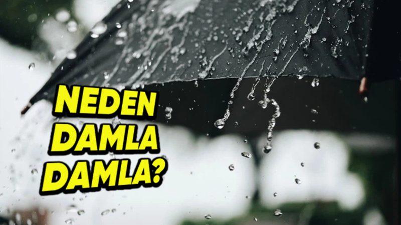 Yağmur Neden Tıpkı Bir Şelale Gibi Büyük Su Kütlesi Olarak Akmaz da Damlalar Hâlinde Düşer?