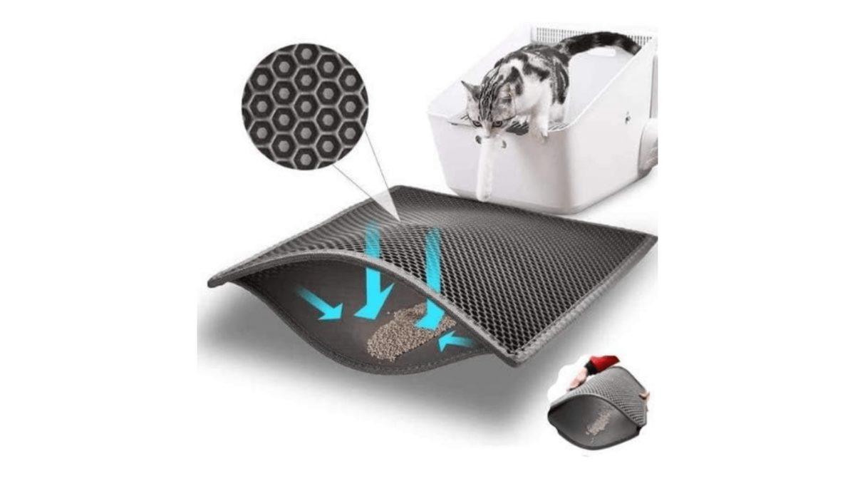 Amazon’da Hayvanları Koruma Günü’ne Özel Fırsatlarda Son Gün!