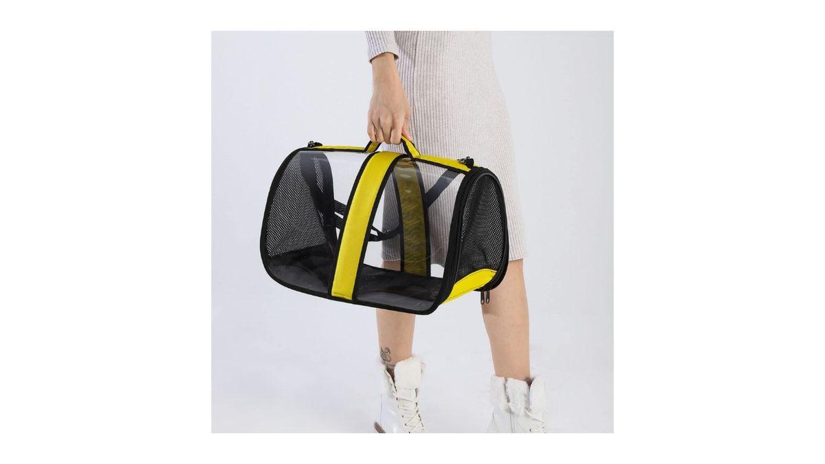 Amazon’da Hayvanları Koruma Günü’ne Özel Fırsatlarda Son Gün!