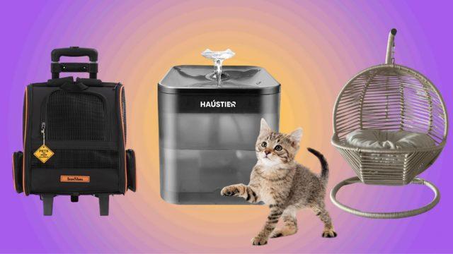 Amazon’da Hayvanları Koruma Günü’ne Özel Fırsatlarda Son Gün!