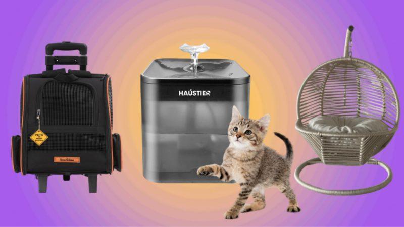 Amazon’da Hayvanları Koruma Günü’ne Özel Fırsatlarda Son Gün!