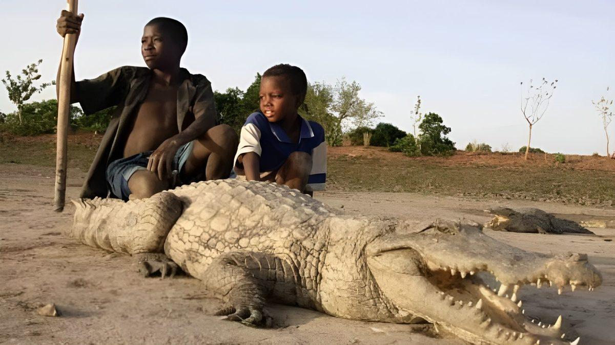 İnsanlarla Timsahların Büyük Bir Dostluk İlişkisiyle Bir Arada Yaşadığı Sıra Dışı Afrika Köyü: Bazoule