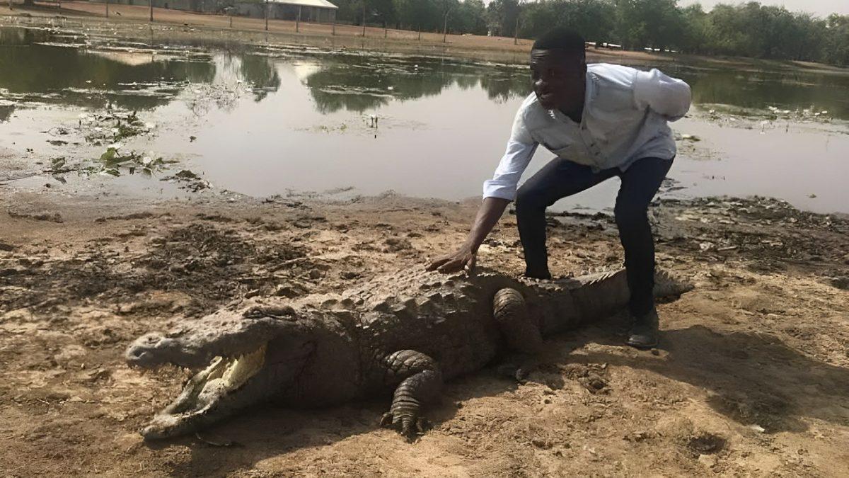 İnsanlarla Timsahların Büyük Bir Dostluk İlişkisiyle Bir Arada Yaşadığı Sıra Dışı Afrika Köyü: Bazoule