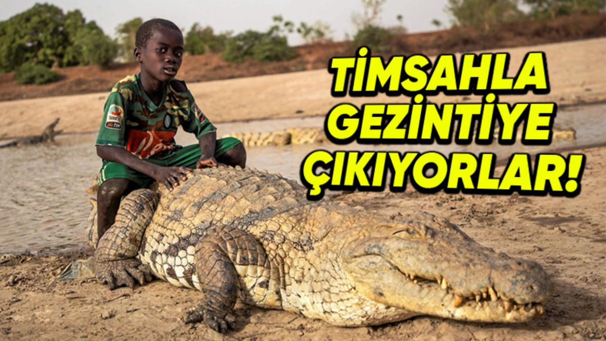 İnsanlarla Timsahların Büyük Bir Dostluk İlişkisiyle Bir Arada Yaşadığı Sıra Dışı Afrika Köyü: Bazoule
