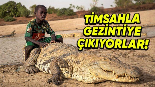 İnsanlarla Timsahların Büyük Bir Dostluk İlişkisiyle Bir Arada Yaşadığı Sıra Dışı Afrika Köyü: Bazoule