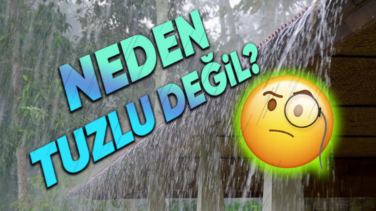 Kar ve Yağmur Suyu Okyanustan Gelmesine Rağmen Neden Tuzlu Bir Tada Sahip Değil?