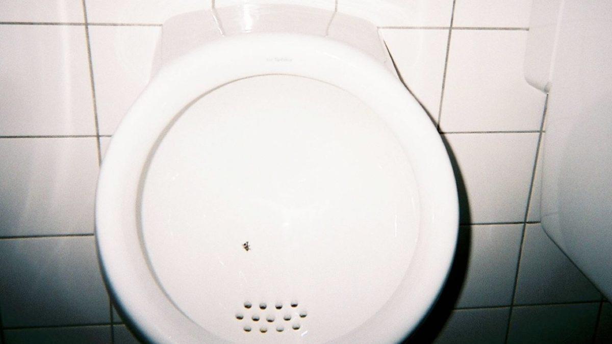 Amsterdam’da Bu Havaalandaki Tuvaletlerin İçinde Neden Sinek Görseli Var? Bir Nevi Sosyal Deney!