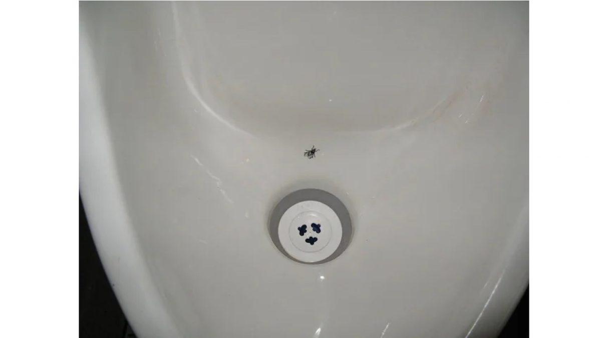 Amsterdam’da Bu Havaalandaki Tuvaletlerin İçinde Neden Sinek Görseli Var? Bir Nevi Sosyal Deney!