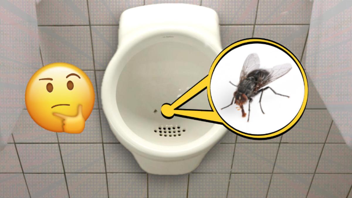 Amsterdam’da Bu Havaalandaki Tuvaletlerin İçinde Neden Sinek Görseli Var? Bir Nevi Sosyal Deney!