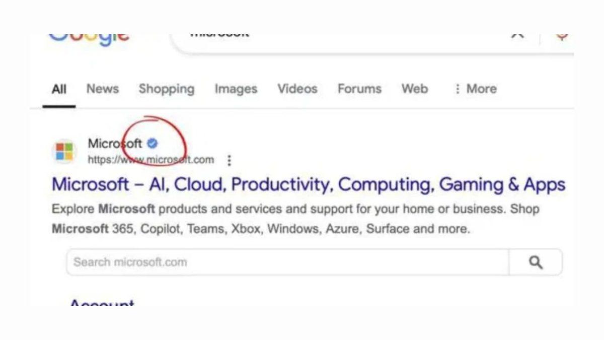 Popüler Mavi Tik Özelliği Şimdi de Google Arama Sonuçlarına Geliyor! (Sahteciliğe Veda Zamanı Diyebilir miyiz?)