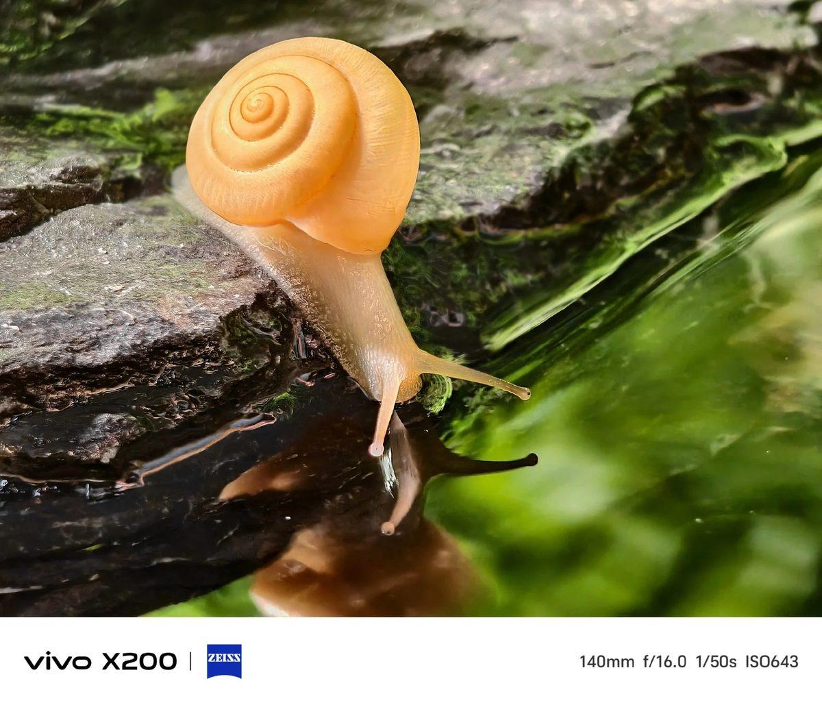 vivo X200 Serisinin Resmî Tasarımı Paylaşıldı, Bazı Özellikleri Açıklandı: Kameralarıyla Çekilen Fotoğraflar da Geldi