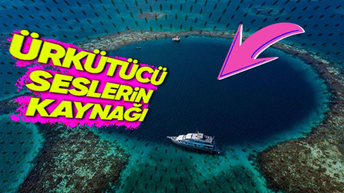 Mariana Çukuru’ndan Gelen ve Senelerdir Gizemi Çözülemeyen Ürkütücü Seslerin Sebebi Ne? (Komplo Teorisi Değil!)