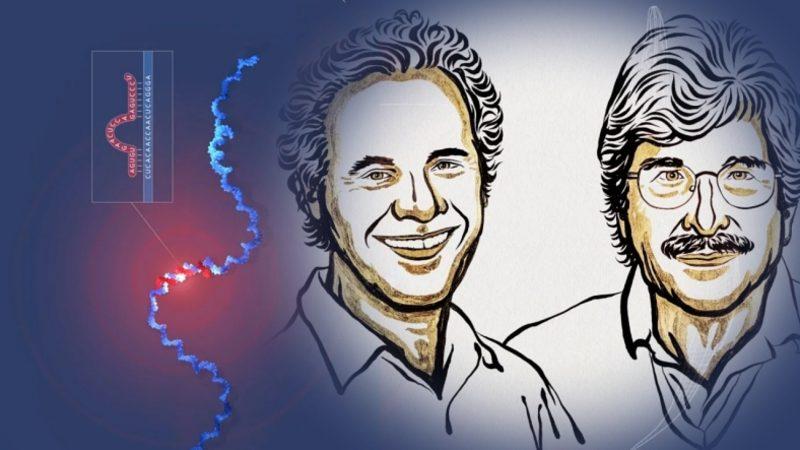 2024 Nobel Tıp Ödülü Sahibini Buldu: Ödülü, MicroRNA’nın Keşfi Kazandı