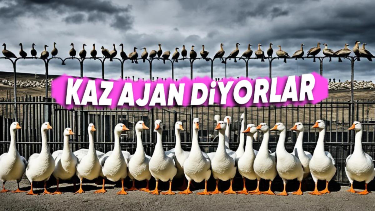 Brezilya’daki Bu Hapishanede Neden Kaz Gardiyan Kullanılıyor? Aklınıza Yatacak Sebepleri Var!