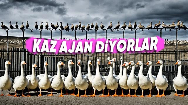 Brezilya’daki Bu Hapishanede Neden Kaz Gardiyan Kullanılıyor? Aklınıza Yatacak Sebepleri Var!