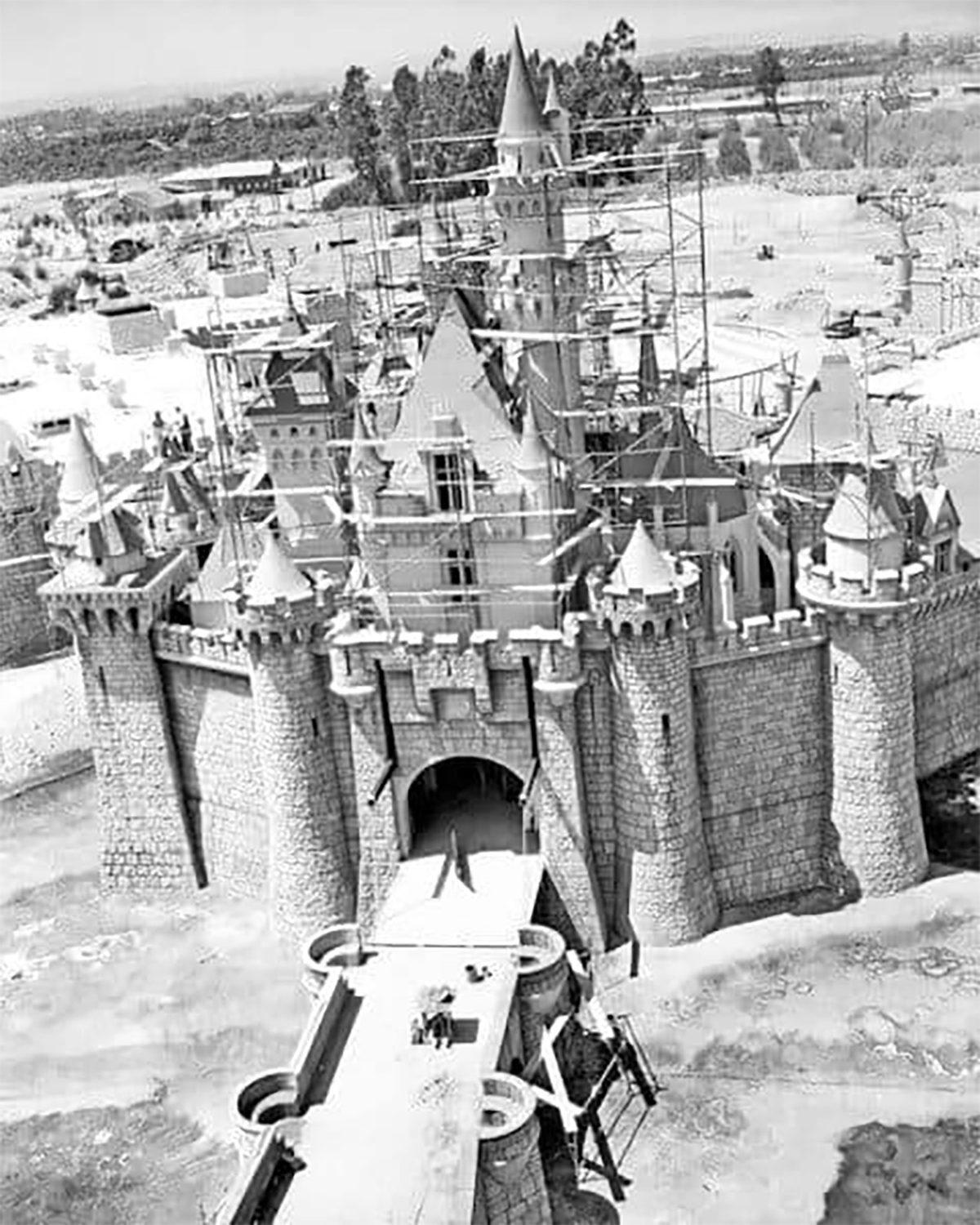 Çocukların Eğlence Alanı Disneyland’ta Nasıl Oluyor da 200 Yabani Kedinin Gezmesine İzin Veriyorlar?