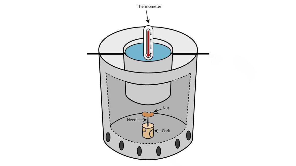 Yediğimiz Her Yiyeceğin Kalorisini Kim, Nasıl Hesaplıyor?