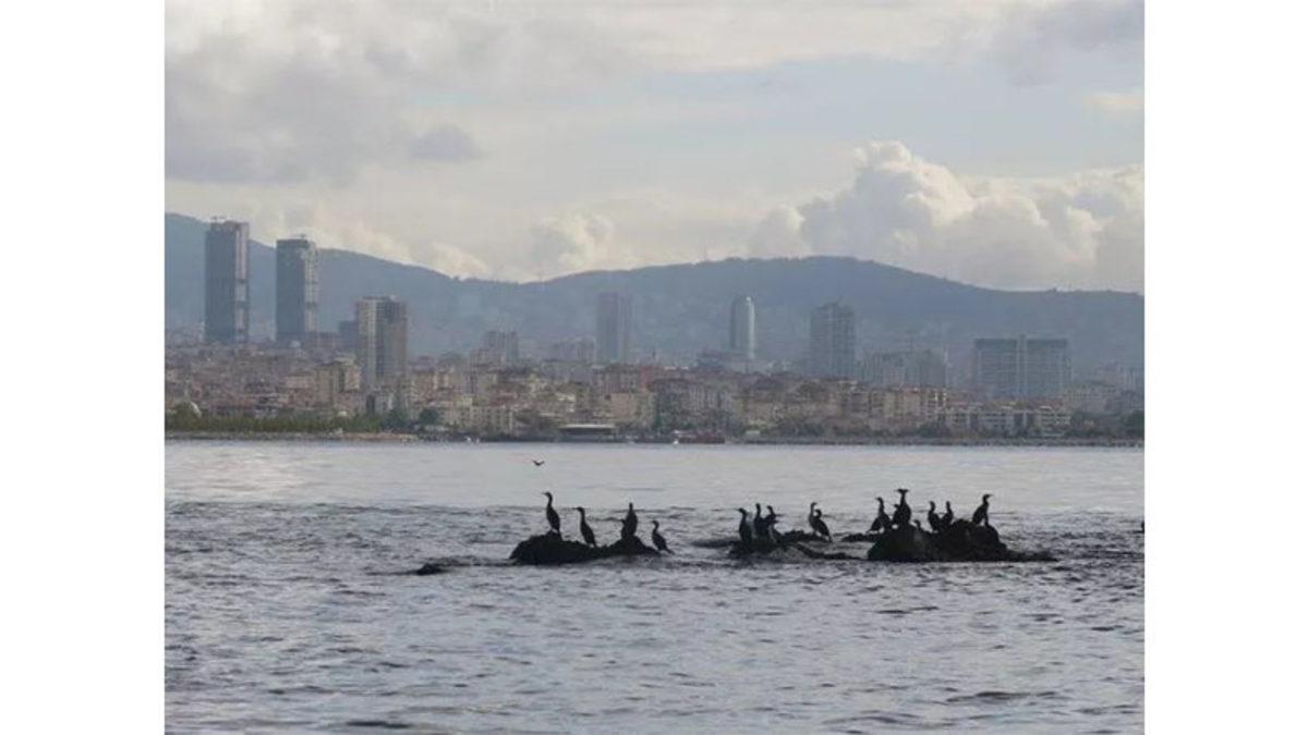 İstanbul’un Kayıp Bir Onuncu Adası Olduğunu Biliyor muydunuz? Peki Bu Gizemli Ada Nerede?