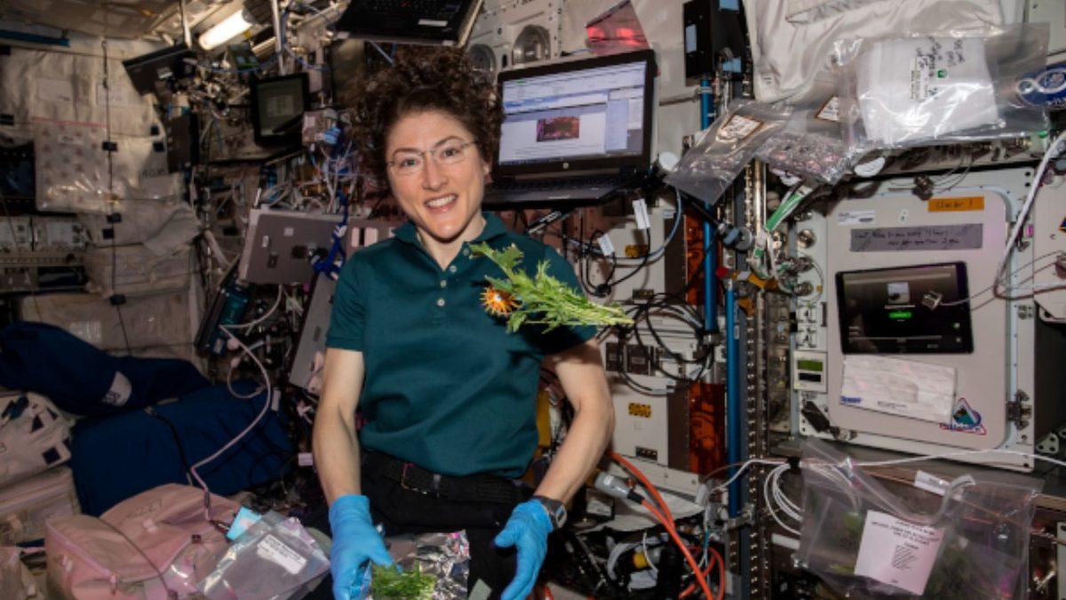 Uluslararası Uzay İstasyonu Hakkında Öğrenince Ufkunuzun Açılacağı 10 Şaşırtıcı Gerçek