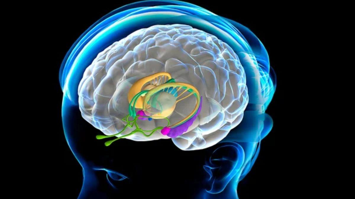 Beynimiz, Gözlerimizle Görmeyip Hayal Ettiğimiz Senaryoları Görselleştirmeyi Nasıl Başarıyor?