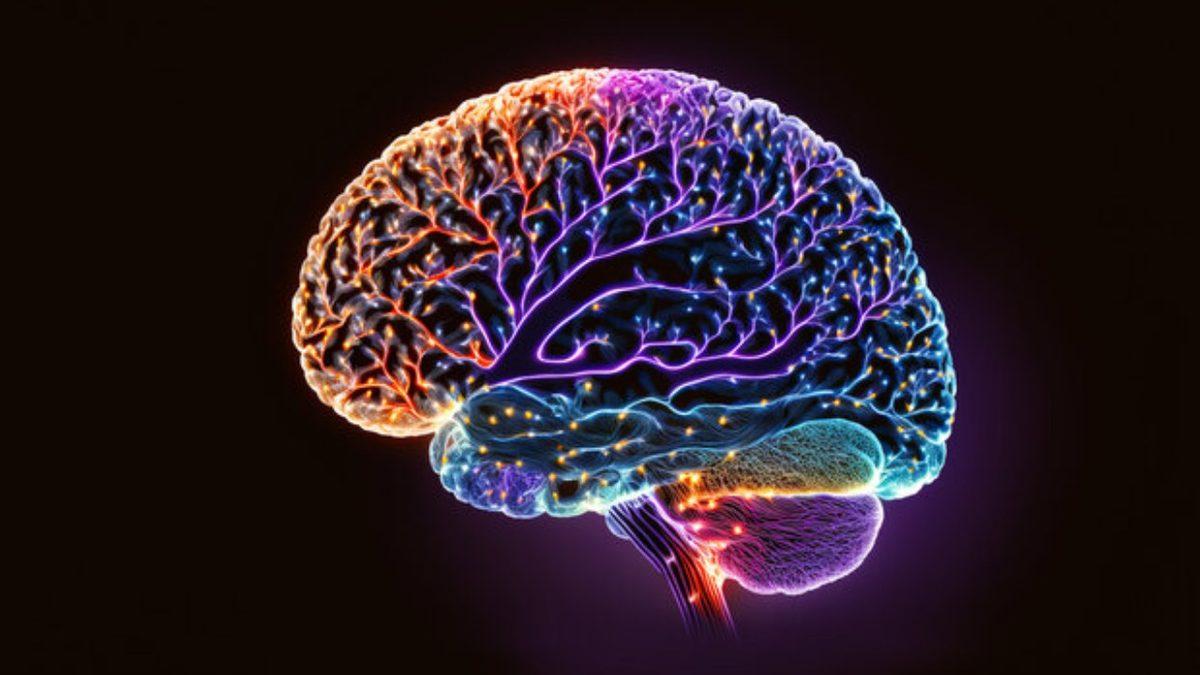 Beynimiz, Gözlerimizle Görmeyip Hayal Ettiğimiz Senaryoları Görselleştirmeyi Nasıl Başarıyor?