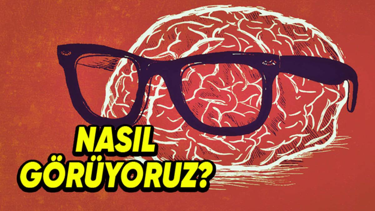 Beynimiz, Gözlerimizle Görmeyip Hayal Ettiğimiz Senaryoları Görselleştirmeyi Nasıl Başarıyor?