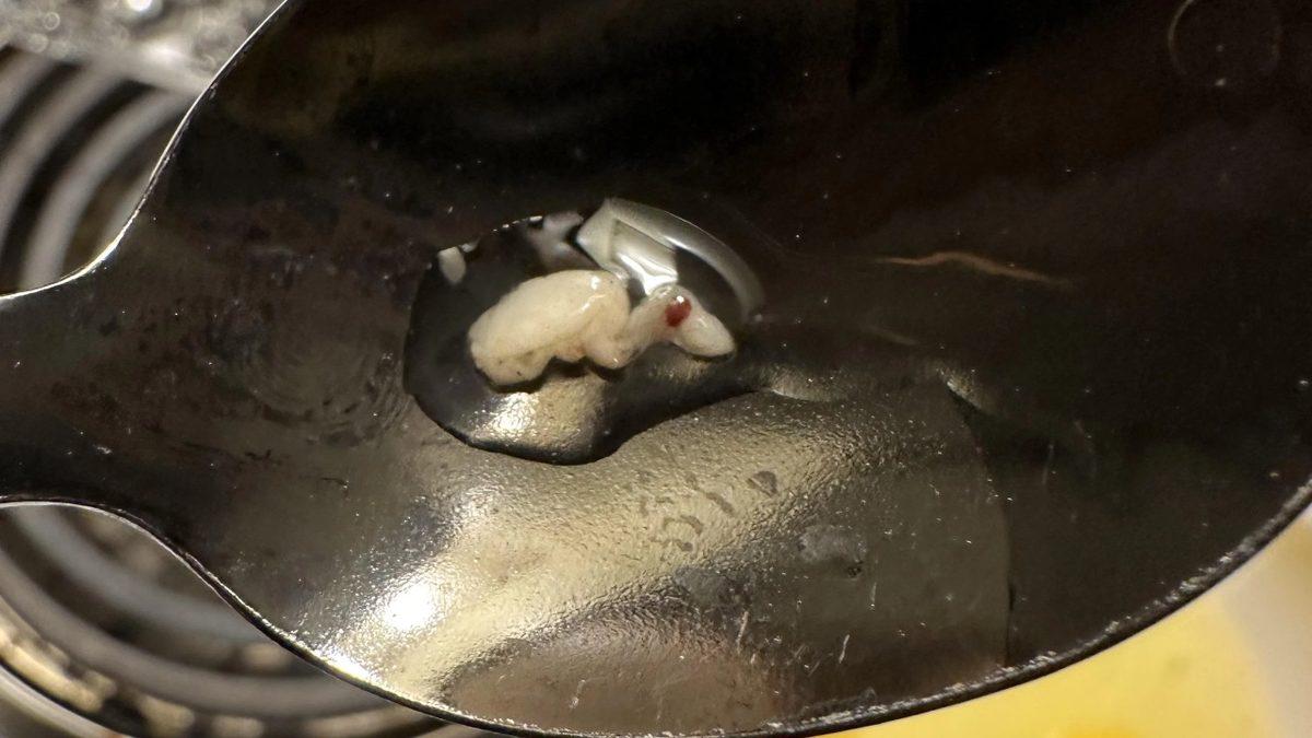 Yumurtanın Sarısı Tam Olarak Ne? Sahiden de Gelişmemiş Embriyo Olabilir mi?